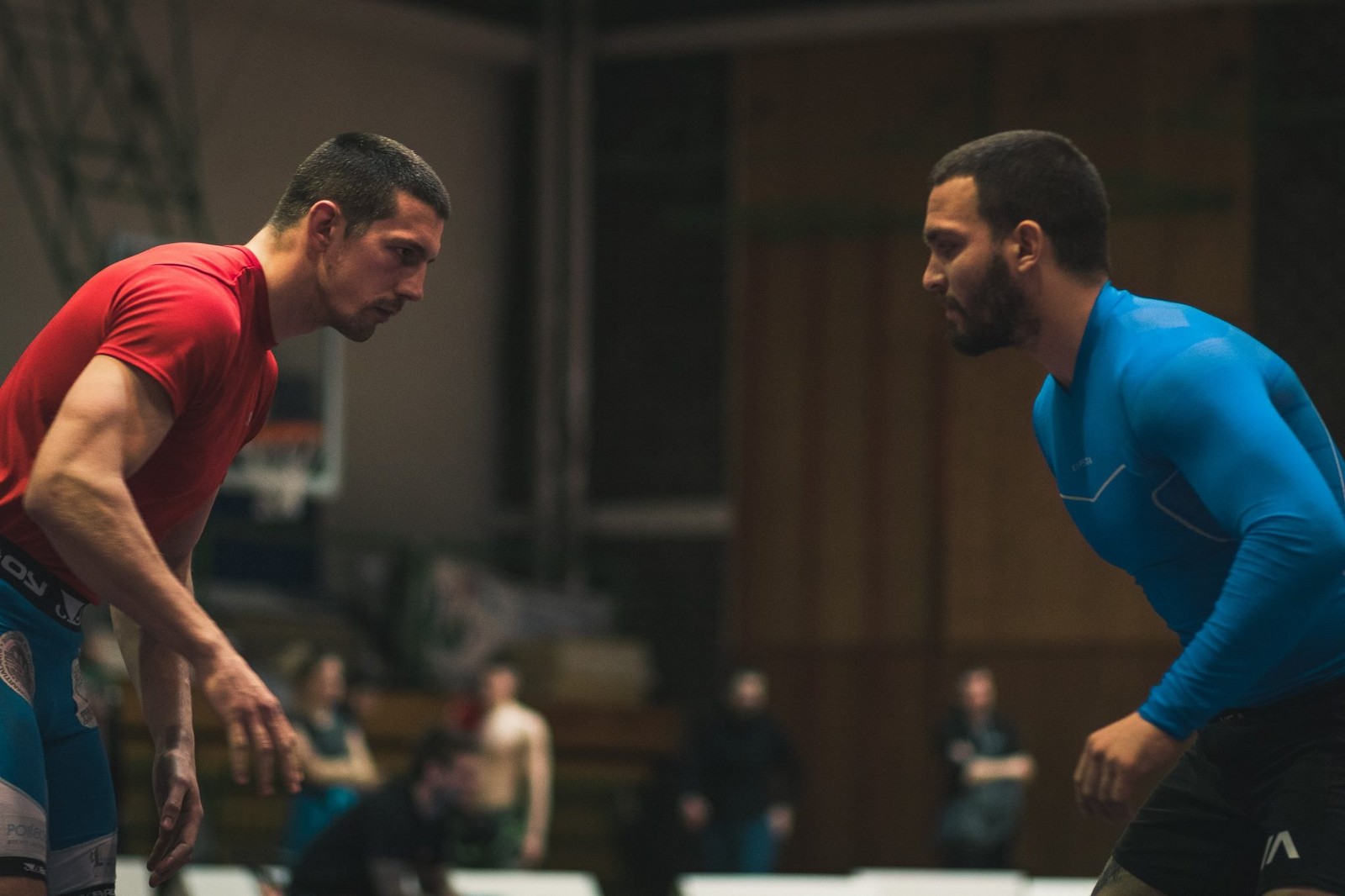 52800531_1933514720092971_481707584705789952_o_1600x1066